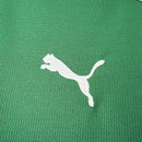 Camisa Palmeiras I 26/27 - Torcedor Puma - Verde